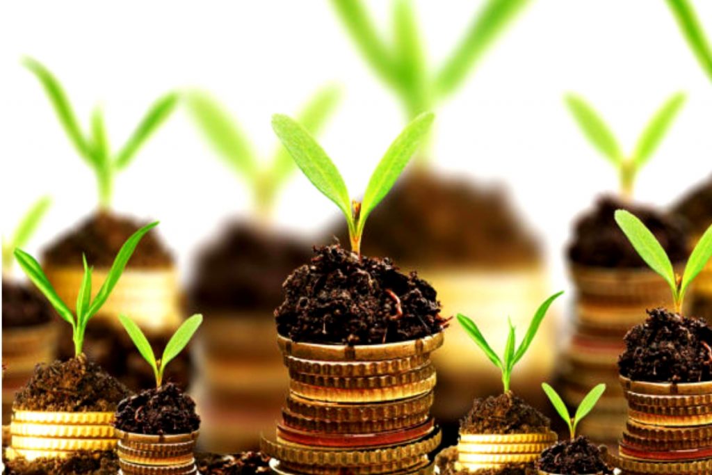 How to Access Funds for Agribusiness
