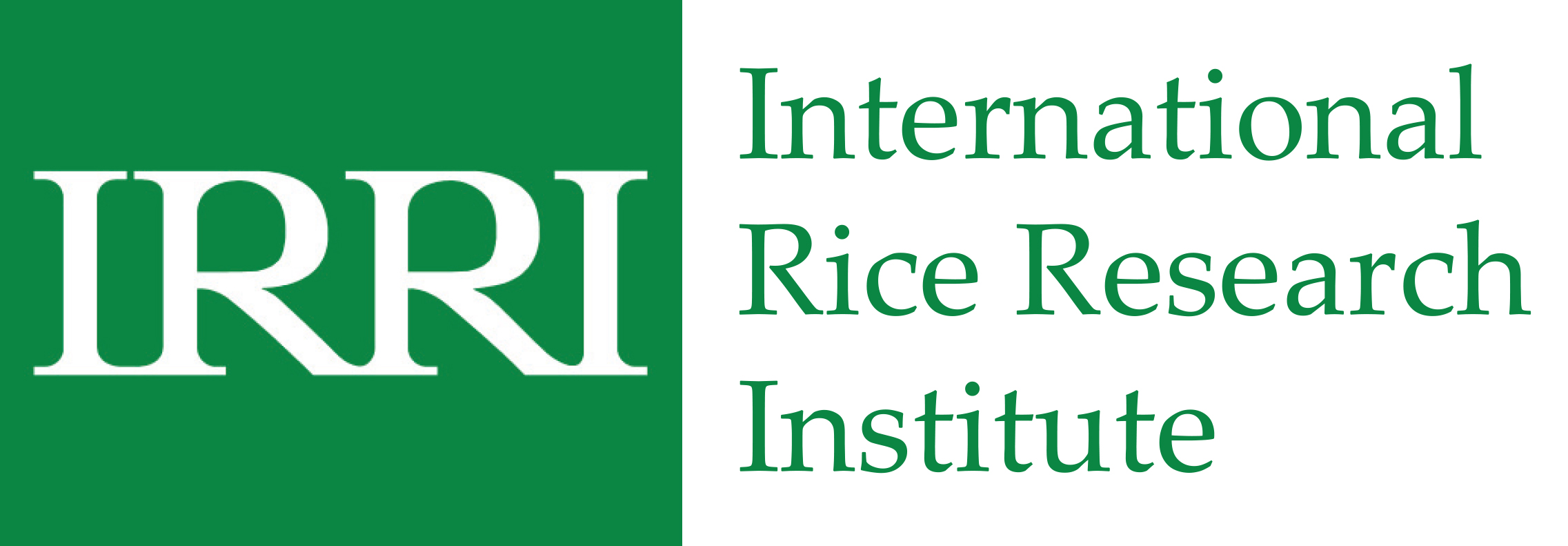 AATF partners IRRI to Scale Hybrid Rice Production in Africa