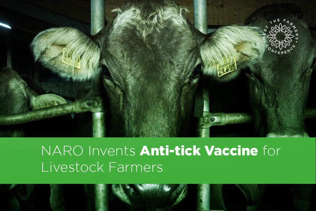 NARO Invents Anti-tick Vaccine for Livestock Farmers