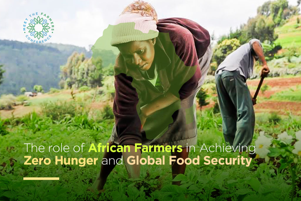 The role of African Farmers in Achieving Zero Hunger and Global Food Security