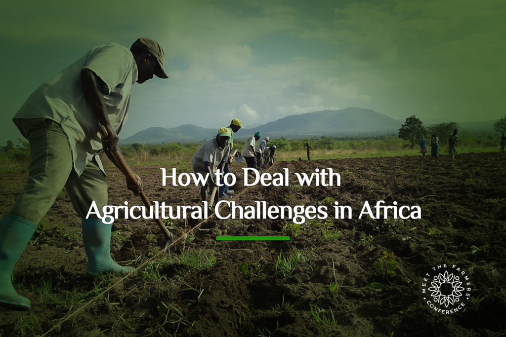 Dealing with Agricultural Challenges in Africa