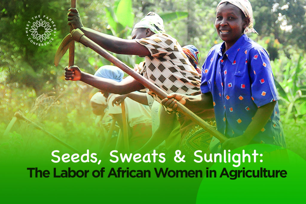 Seeds, Sweats & Sunlight – the Labor of African Women in Agriculture
