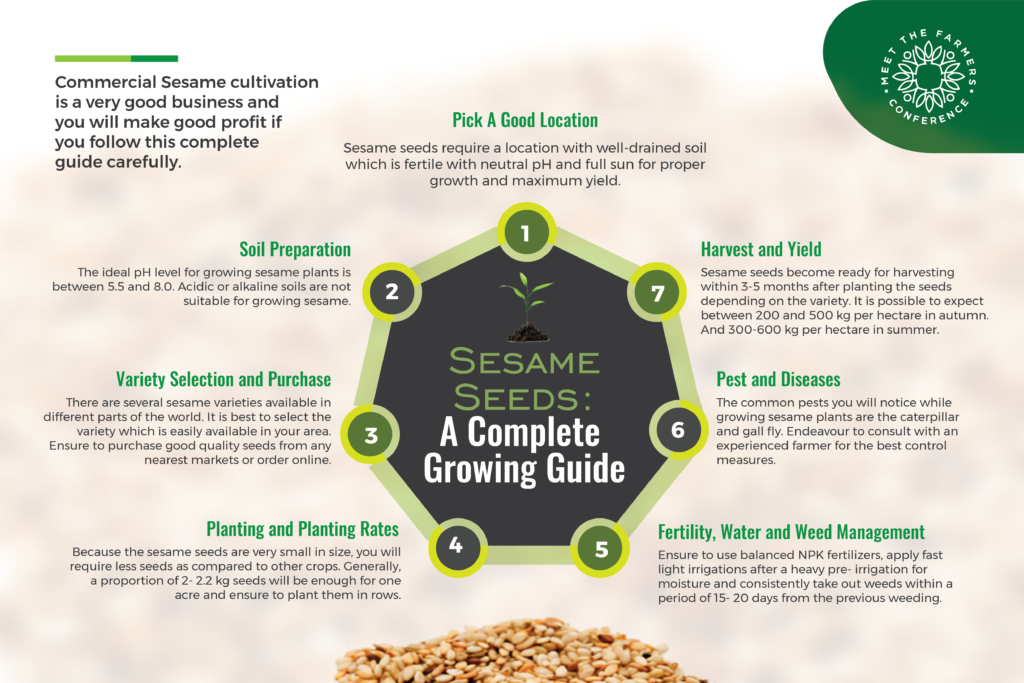 Sesame Seeds: A Complete Growing Guide