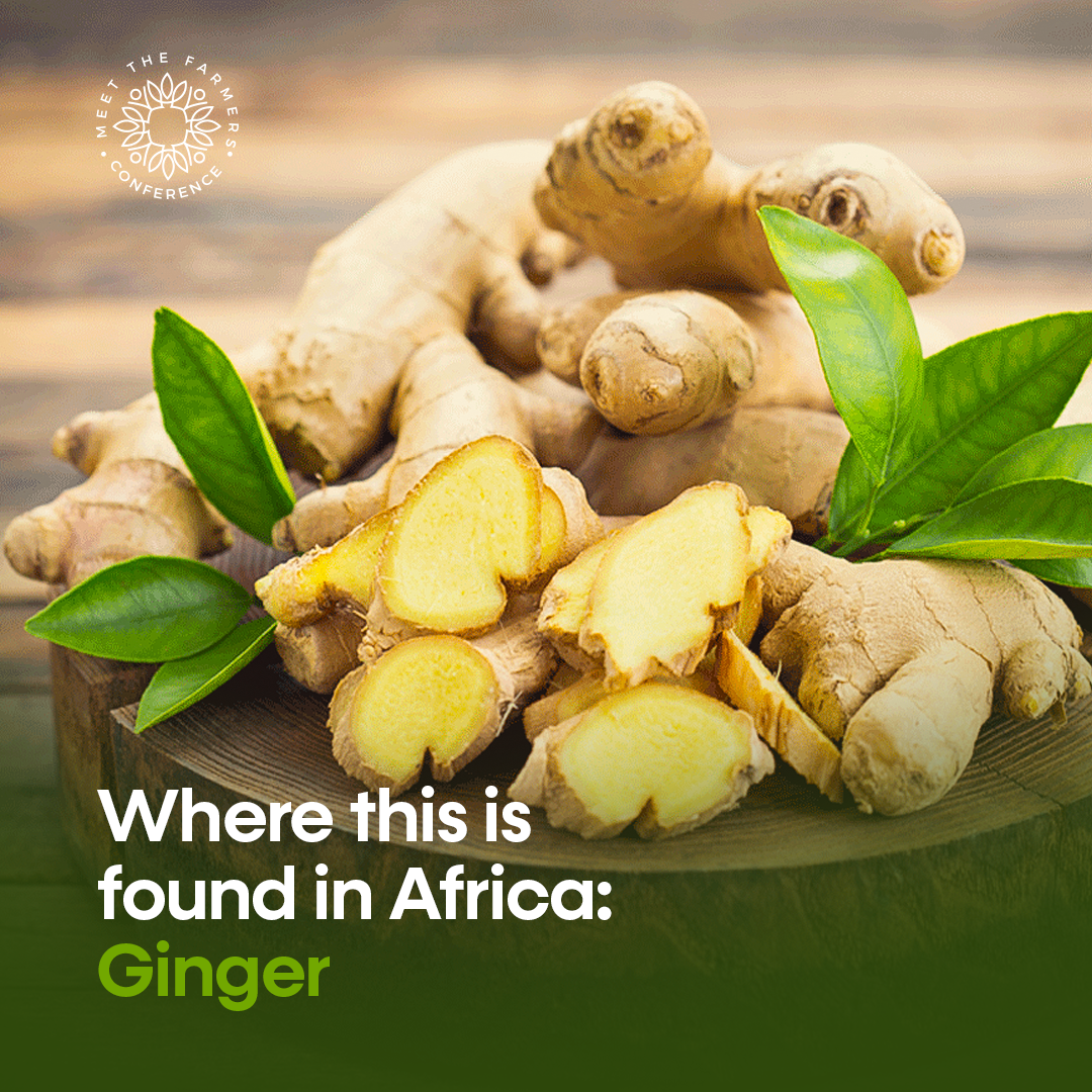 Where this is found in Africa: Ginger 